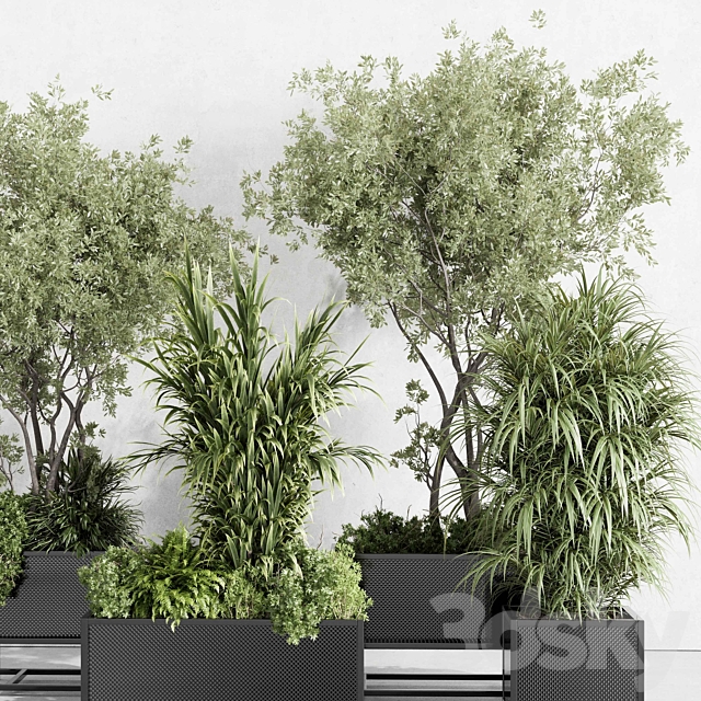 metal box plants on stand – set indoor plant 425 3DS Max Model - thumbnail 4