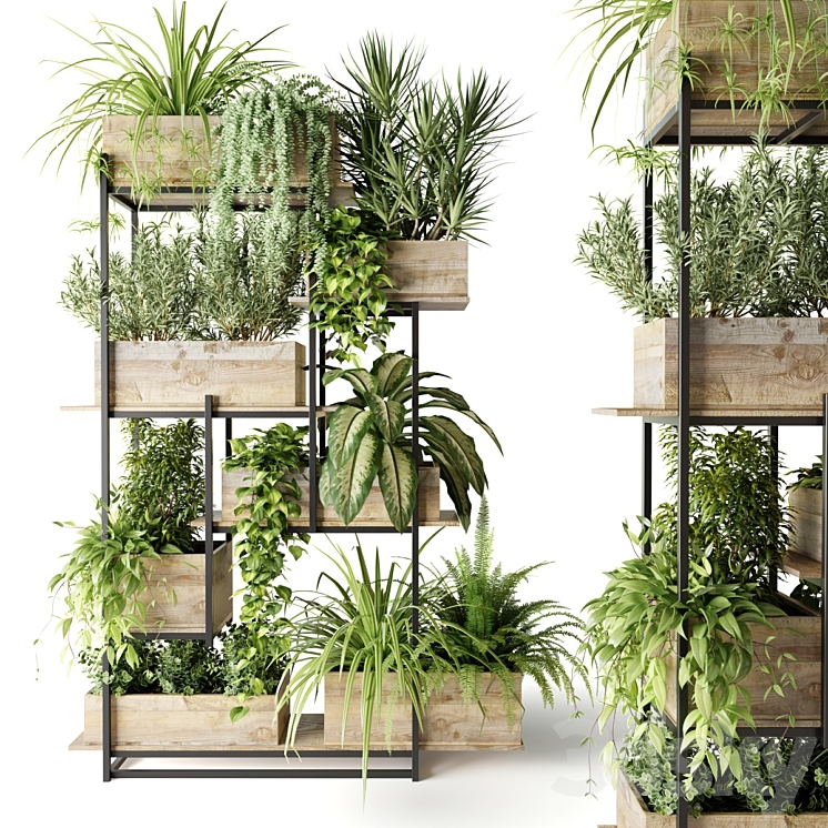 Metal rack with plants in wooden boxes 3DS Max Model - thumbnail 1