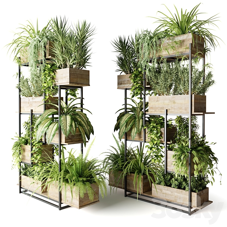 Metal rack with plants in wooden boxes 3DS Max Model - thumbnail 2
