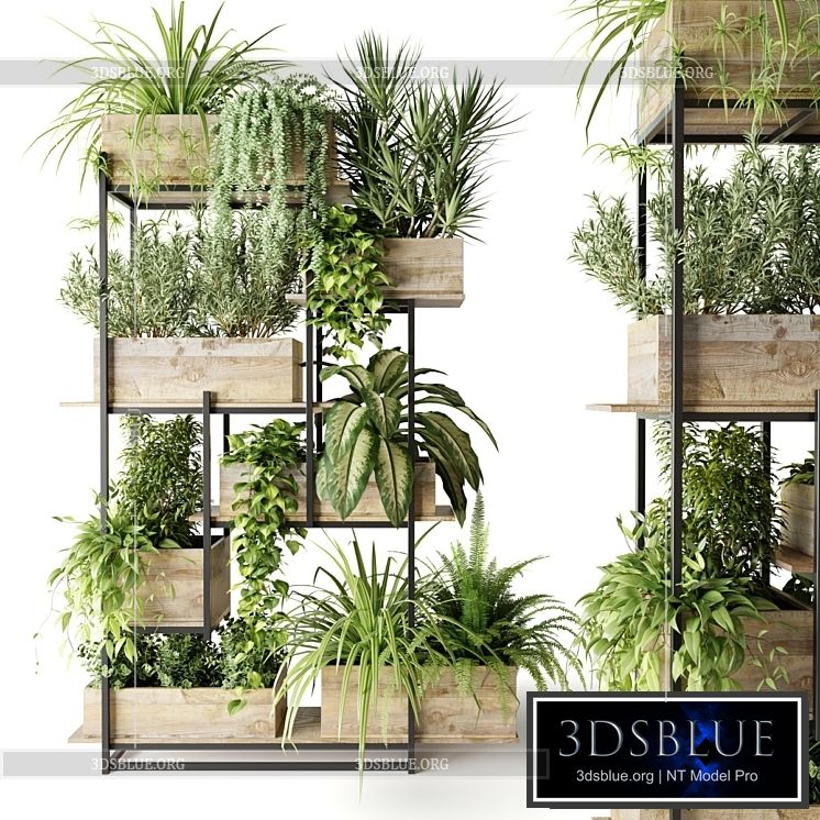 Metal rack with plants in wooden boxes 3DS Max - thumbnail 3