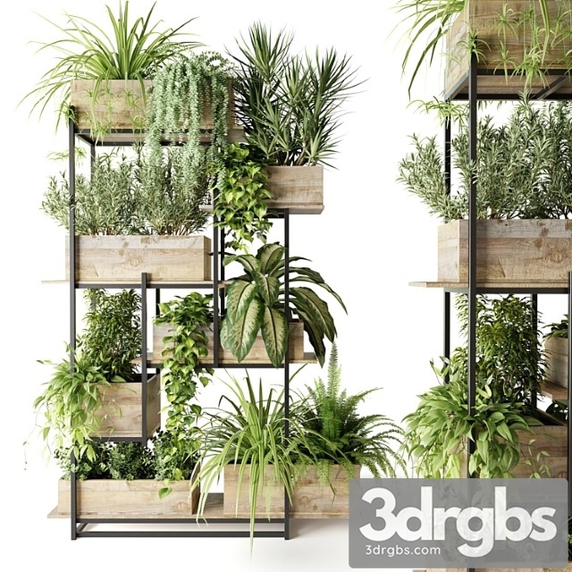 Metal rack with plants in wooden boxes - thumbnail 1