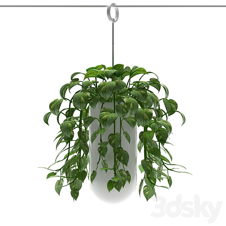 MONEY PLANTS 3DS Max - thumbnail 2