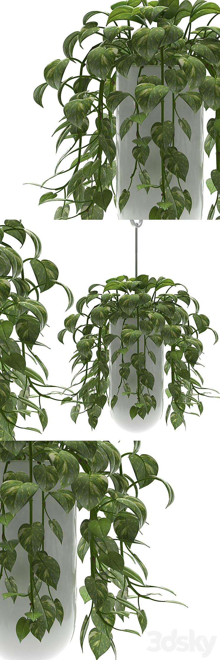 MONEY PLANTS 3DS Max - thumbnail 1