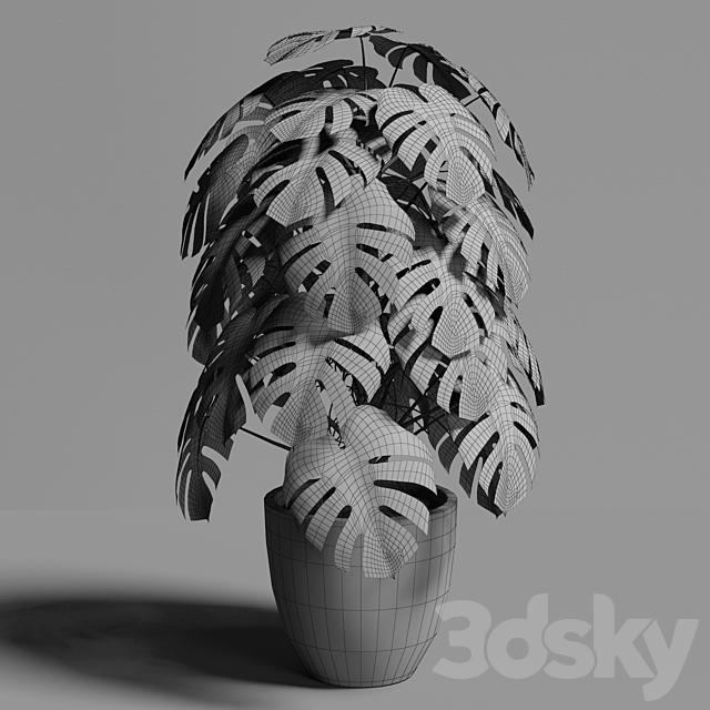 monstera 02 3DS Max Model - thumbnail 5