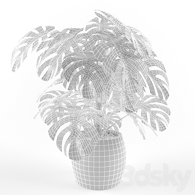 Monstera 3DS Max Model - thumbnail 3