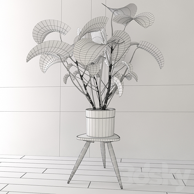 Monstera 3DSMax File - thumbnail 3