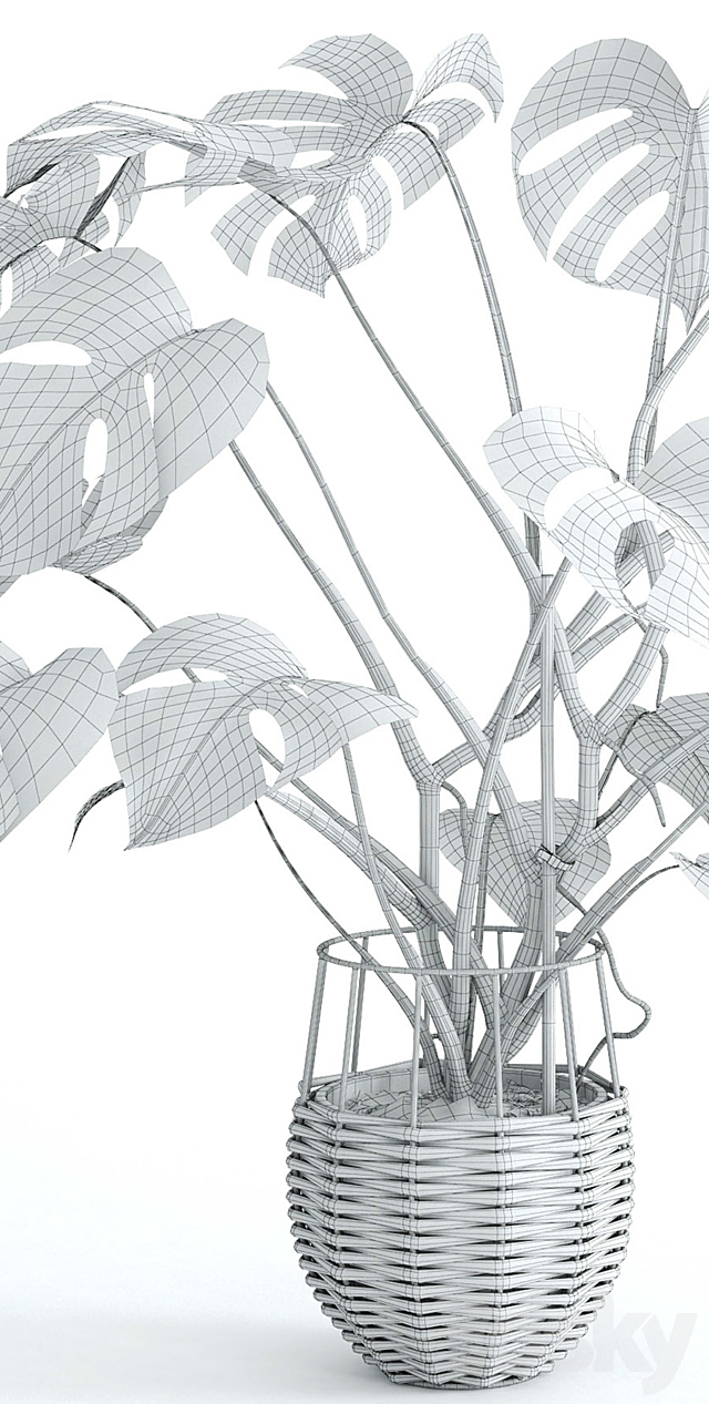 Monstera 3DSMax File - thumbnail 3