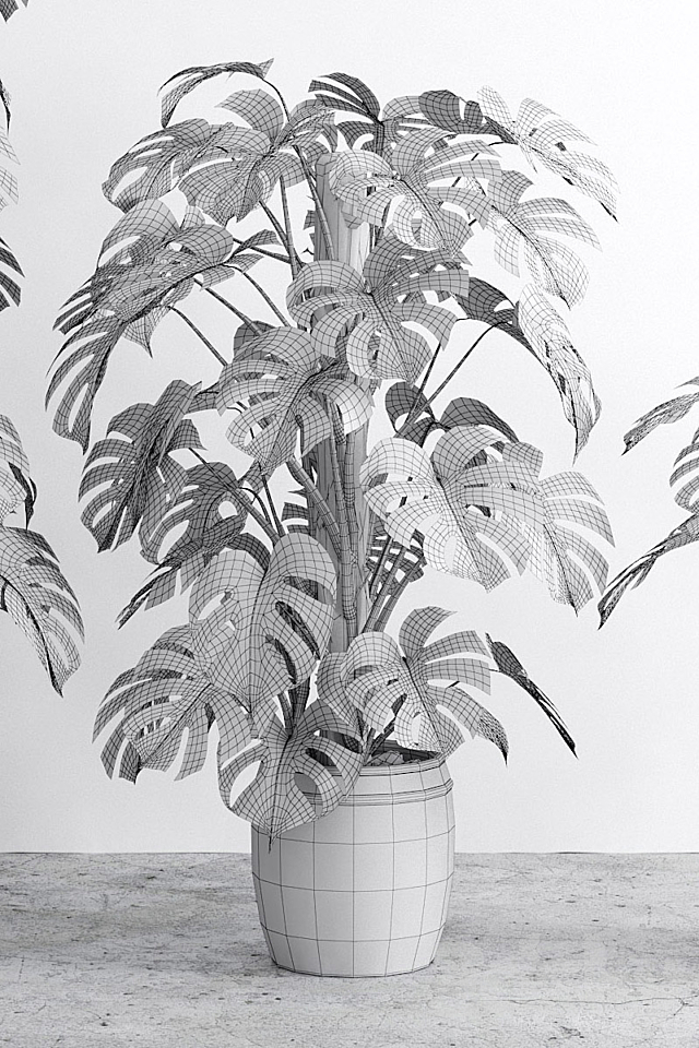 Monstera 4 3DSMax File - thumbnail 3