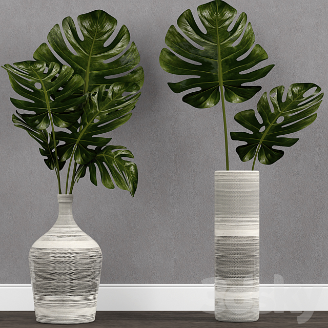 Monstera leaf in vase 3DSMax File - thumbnail 1