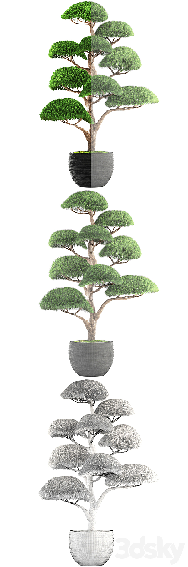 Niwaki 3 cedar topiary Niwaki ornamental tree landscaping flowerpot pot 3DS Max Model - thumbnail 3