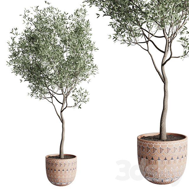 Olive tree in a patterned clay vase 199 3DSMax File - thumbnail 1