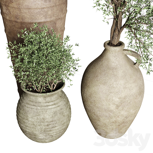 Olive tree in an old earthenware vase indoor collection 167 3ds Max - thumbnail 2