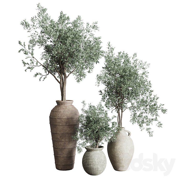 Olive tree in an old earthenware vase indoor collection 278 3DS Max Model - thumbnail 1