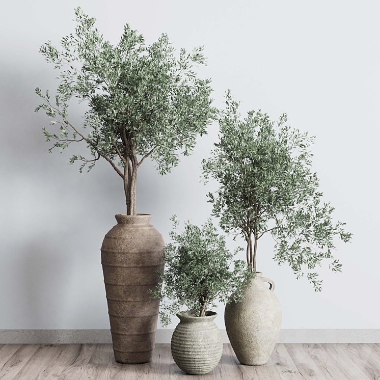 Olive tree in an old earthenware vase indoor collection 278 3DS Max Model - thumbnail 2