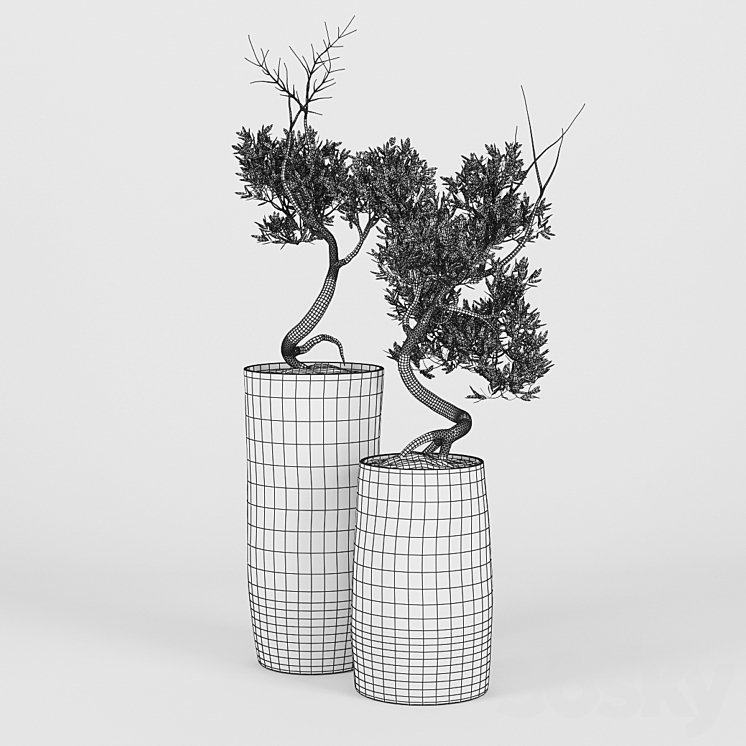 Olive_Tree_III 3DS Max - thumbnail 2