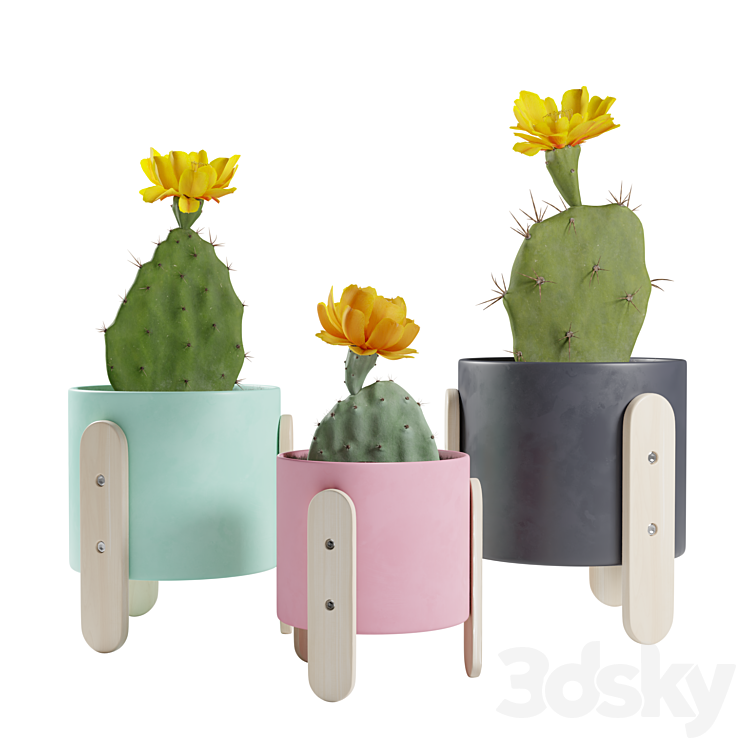 Opuntia Cactus Pack 3DS Max - thumbnail 1