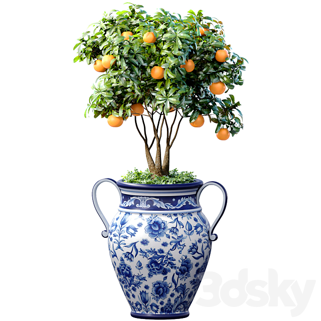 Orange Tree in an Italian vase. Ornamental Citrus Indoor plant 3ds Max - thumbnail 1