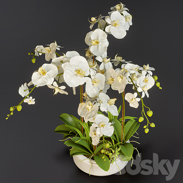 Orchid 13 3DSMax File - thumbnail 2