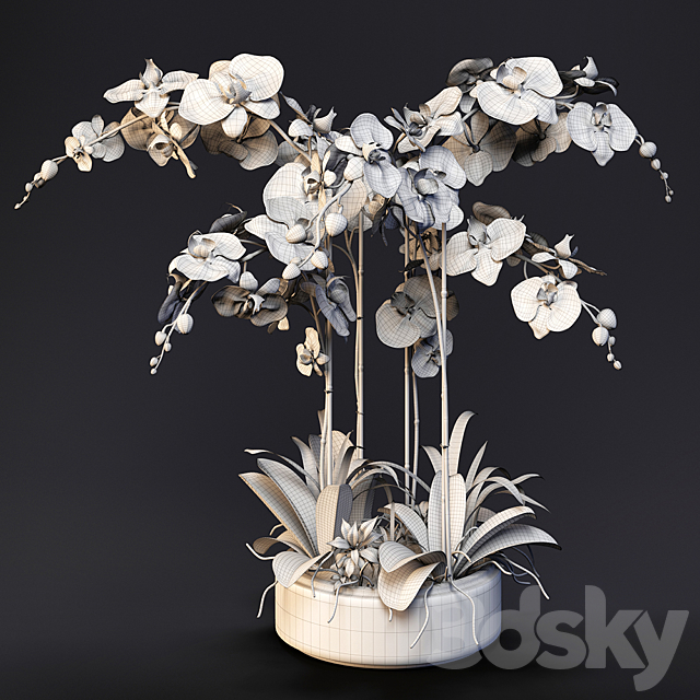 Orchid 13 3DSMax File - thumbnail 4