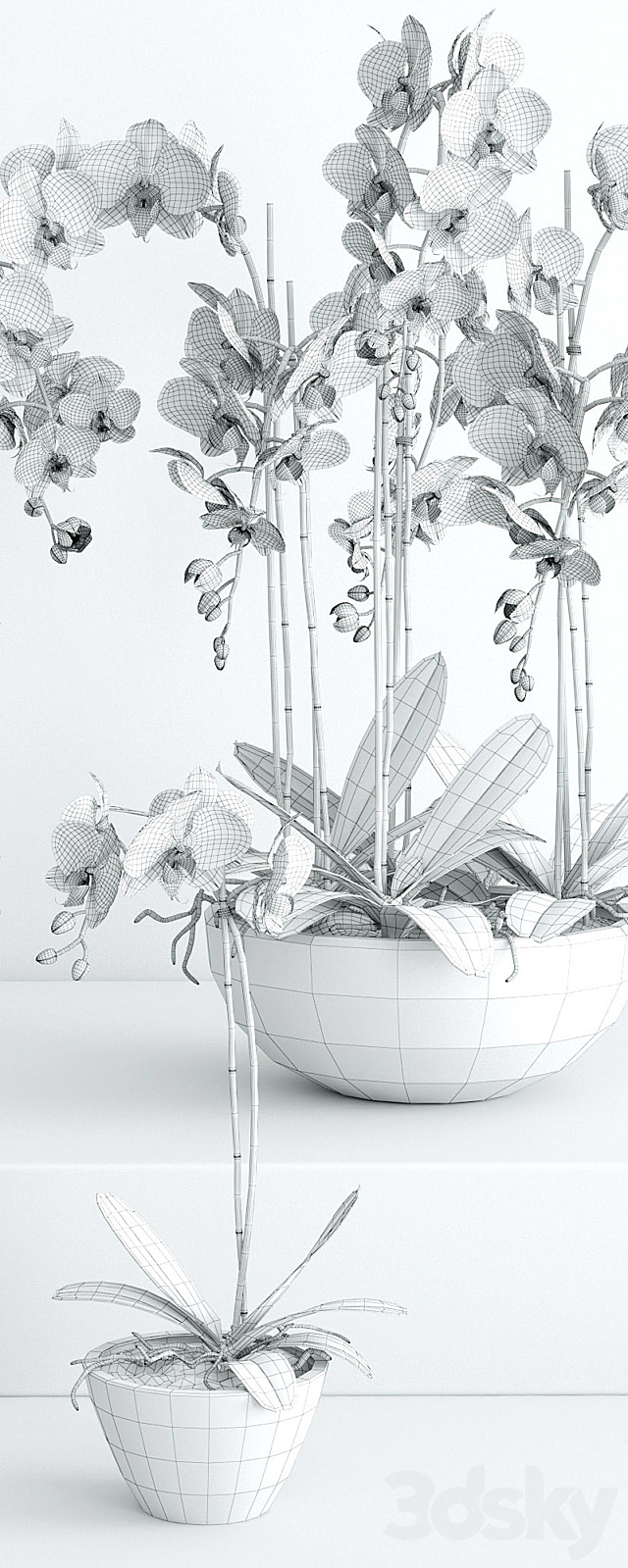 Orchid 2 3DSMax File - thumbnail 3