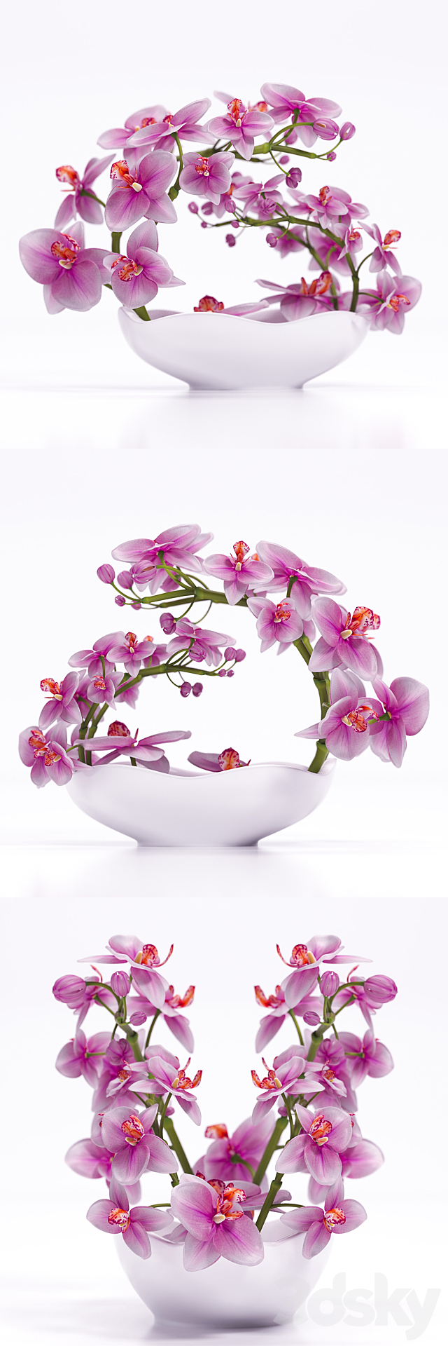 ORCHID 3 3ds Max - thumbnail 1