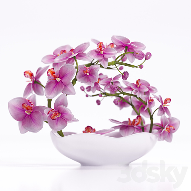 ORCHID 3 3ds Max - thumbnail 2