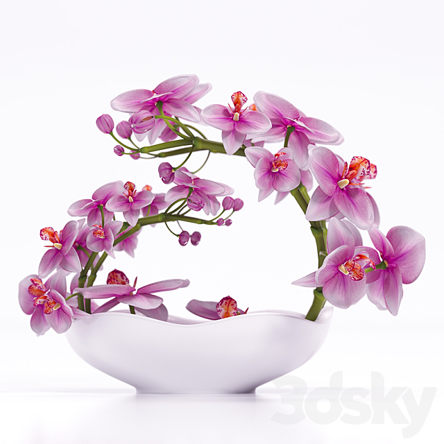 ORCHID 3 3ds Max - thumbnail 3