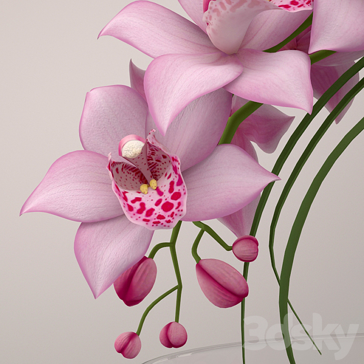 orchid 3DS Max - thumbnail 2