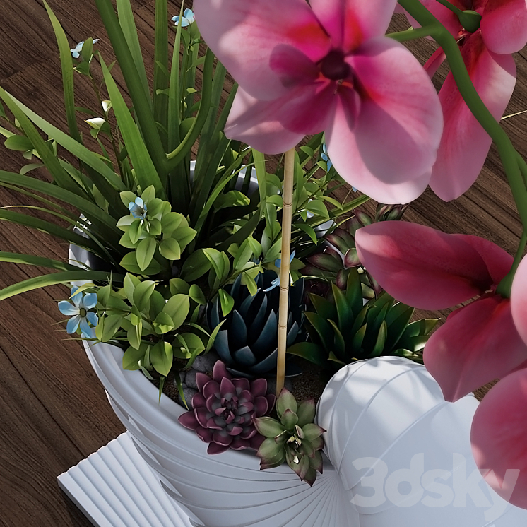 Orchid 3DS Max - thumbnail 2