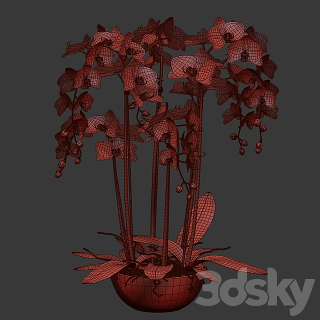 Orchid 3DS Max Model - thumbnail 3