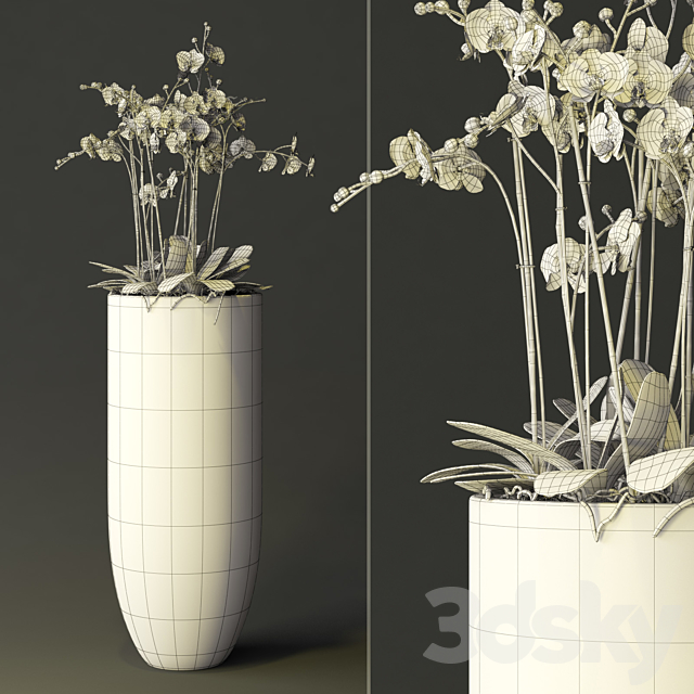 orchid 3DSMax File - thumbnail 2