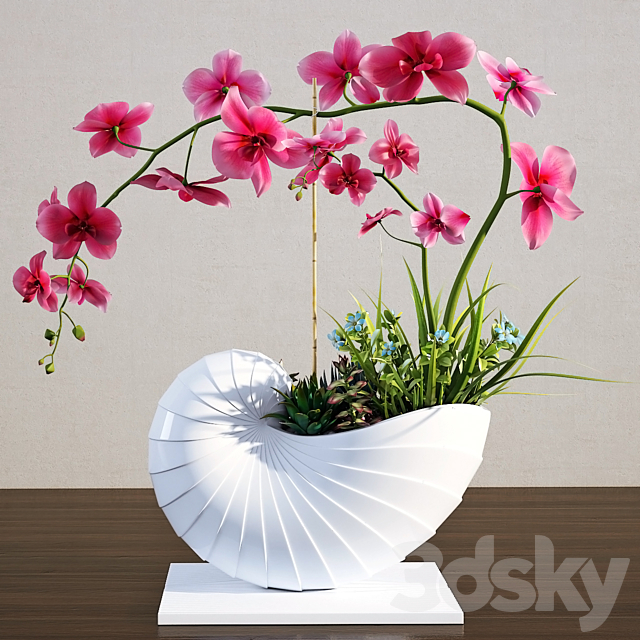 Orchid 3DSMax File - thumbnail 1