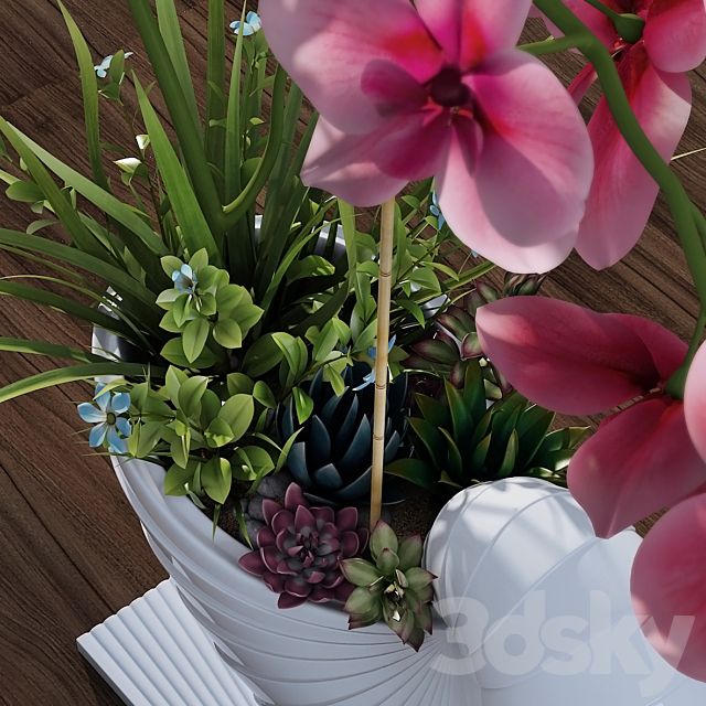 Orchid 3DSMax File - thumbnail 2