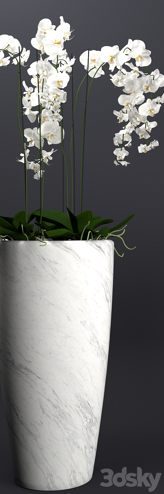 Orchid 4 3DSMax File - thumbnail 3