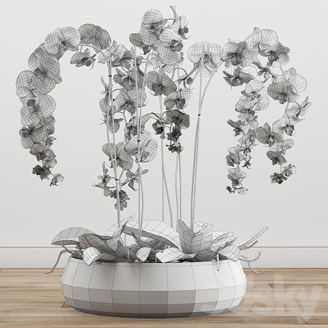 Orchid arrangement 2 3DS Max Model - thumbnail 3