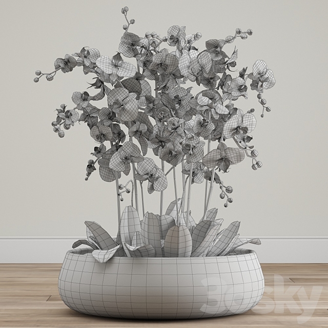 Orchid arrangement 3ds Max - thumbnail 3