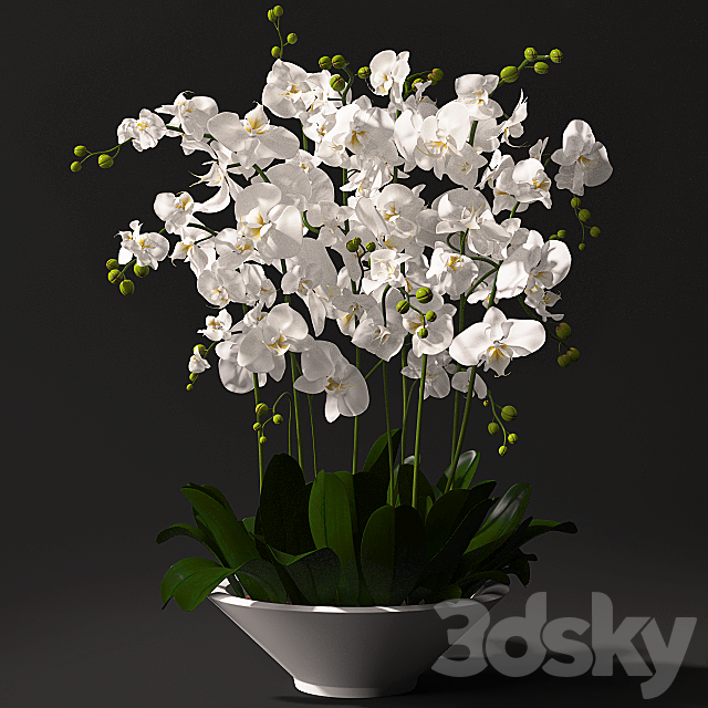 Orchid arrangement 3DSMax File - thumbnail 1