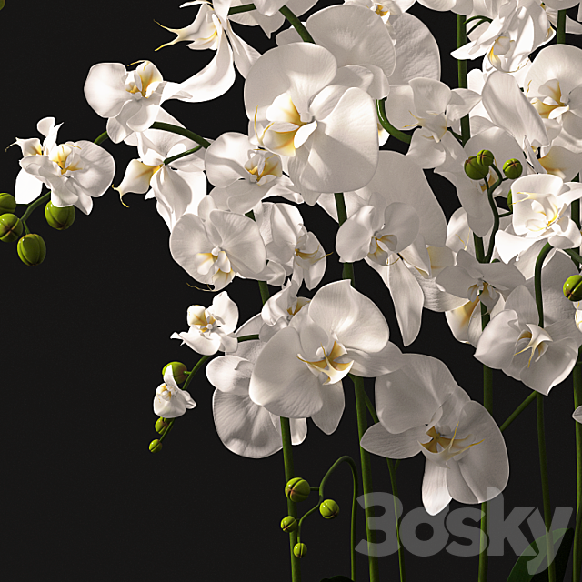 Orchid arrangement 3DSMax File - thumbnail 2