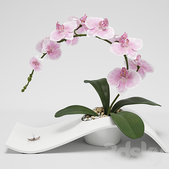 Orchid (phalaenopsis) 3DSMax File - thumbnail 1