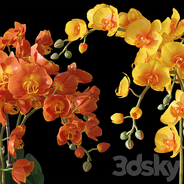 Orchids 3 3DS Max Model - thumbnail 4