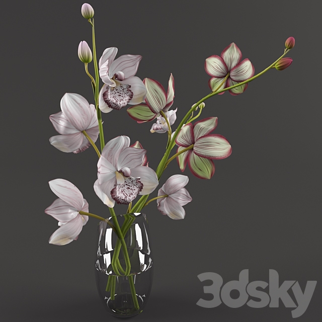 Orchids 3DS Max Model - thumbnail 2