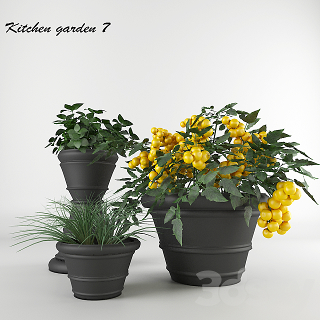 Ornamental garden # 7 3DSMax File - thumbnail 1