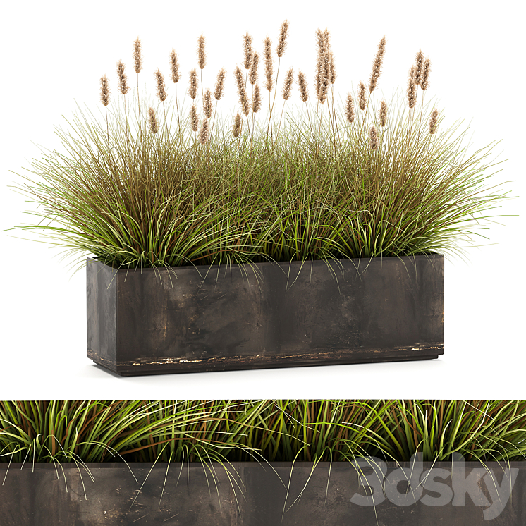 Outdoor metal pot in the bushes Pampas grass flowerpot flowerbed reed. 905. 3DS Max Model - thumbnail 1