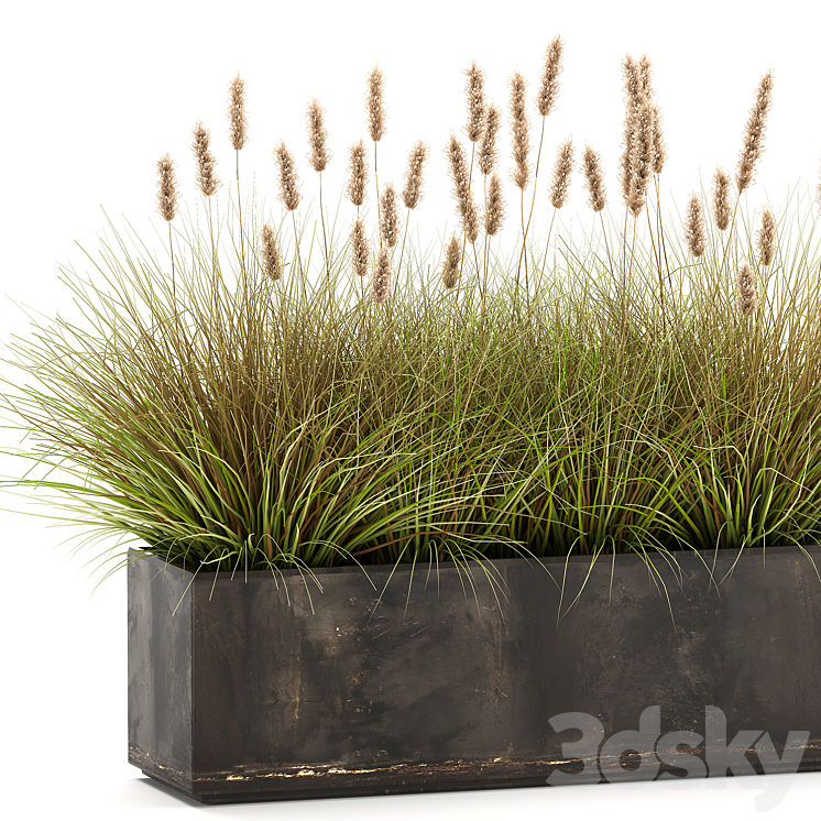 Outdoor metal pot in the bushes Pampas grass flowerpot flowerbed reed. 905. 3DS Max Model - thumbnail 2