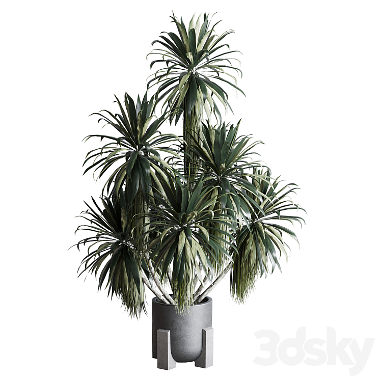 palm plant in concrete dirt vase – Indoor plant 275 3DS Max Model - thumbnail 1