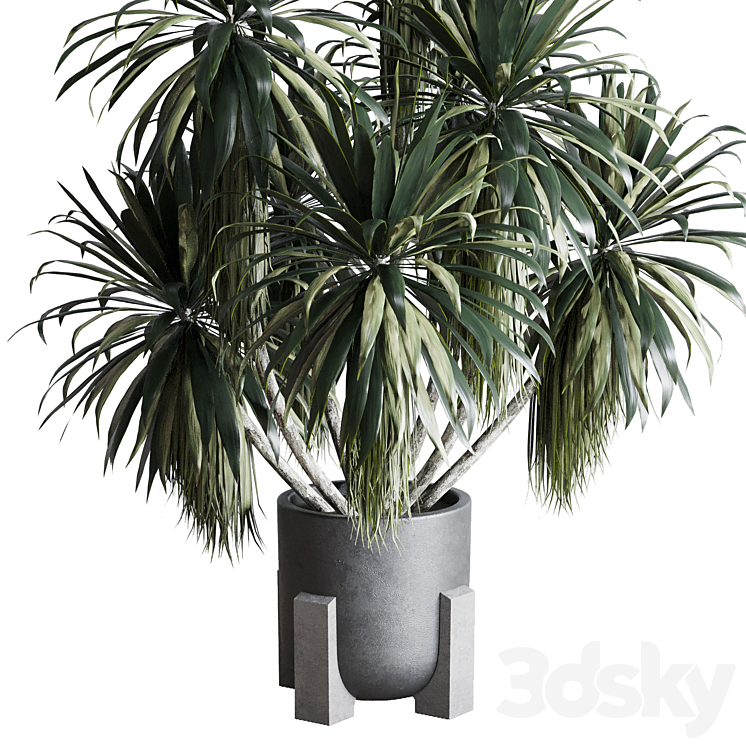 palm plant in concrete dirt vase – Indoor plant 275 3DS Max Model - thumbnail 2