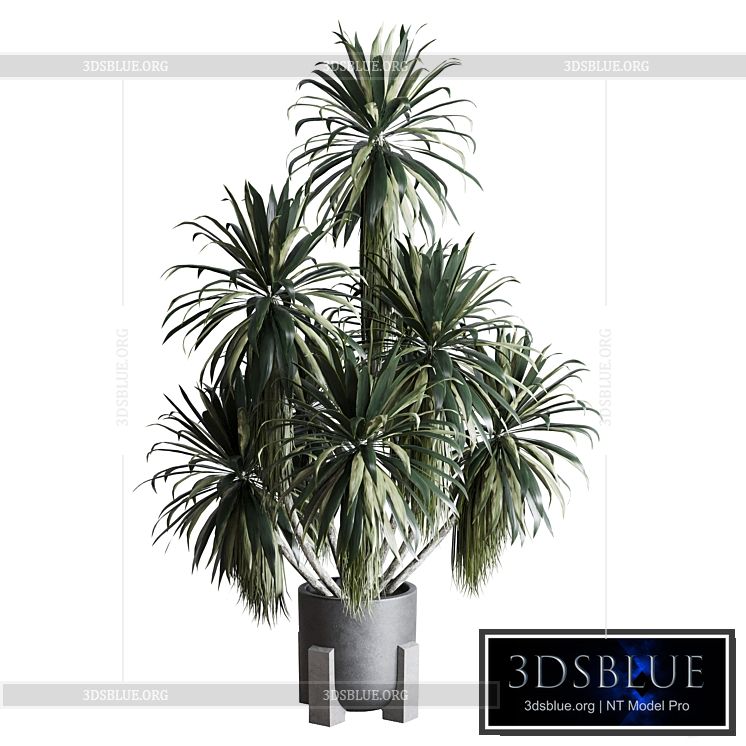 palm plant in concrete dirt vase – Indoor plant 275 3DS Max - thumbnail 3