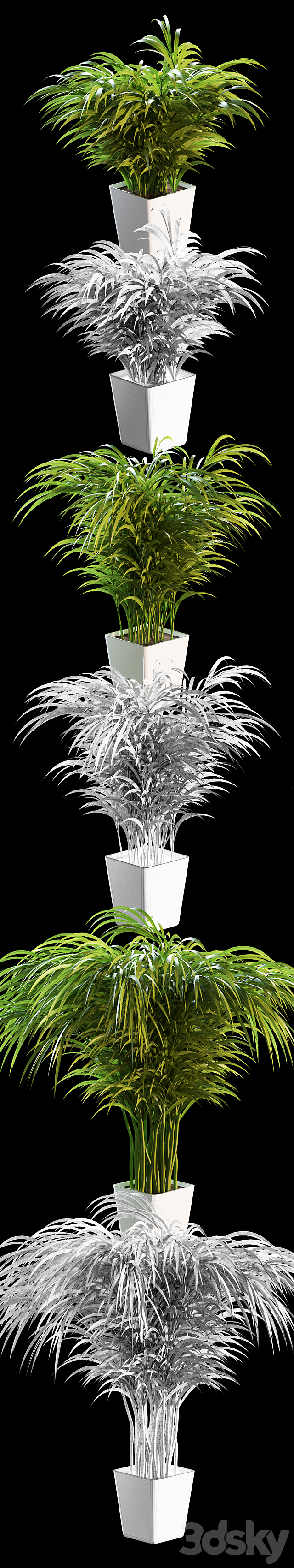 Palm tree in a pot. 3 models 3DSMax File - thumbnail 2