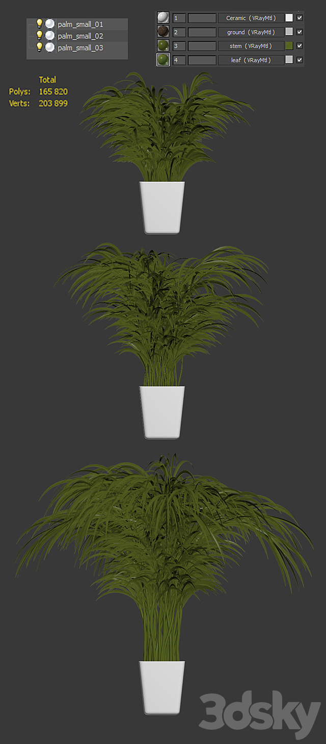 Palm tree in a pot. 3 models 3DSMax File - thumbnail 3