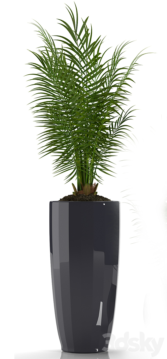 PARLOR PALM 2 3DSMax File - thumbnail 2